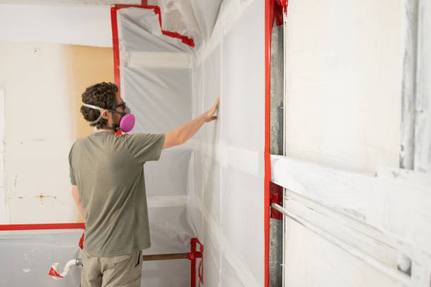 Best Asbestos and Lead Testing During Mold Inspection  in Fairfax, IA