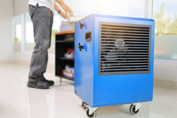 Mold Documentation for Insurance Claims in Fairfax, IA