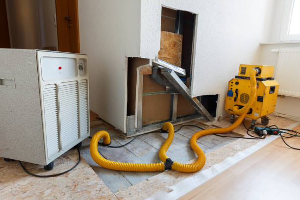 Environmental Consulting for Mold Prevention in Fairfax, IA