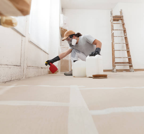 Best Indoor Air Quality Assessment  in Fairfax, IA
